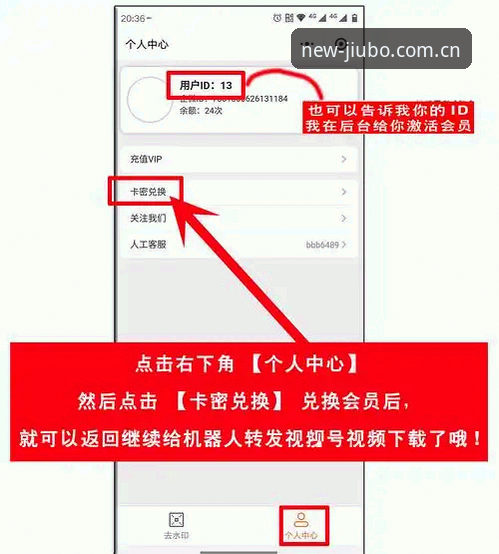 九博体育平台新手操作教程：从下载到登录的完整指南