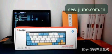 资深用户深度测评：九博体育平台2026新版入口的实战体验与效率对比